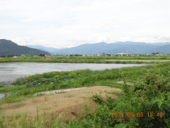 DSCN9591.JPG