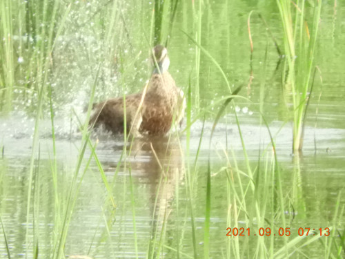 DSCN9533.JPG