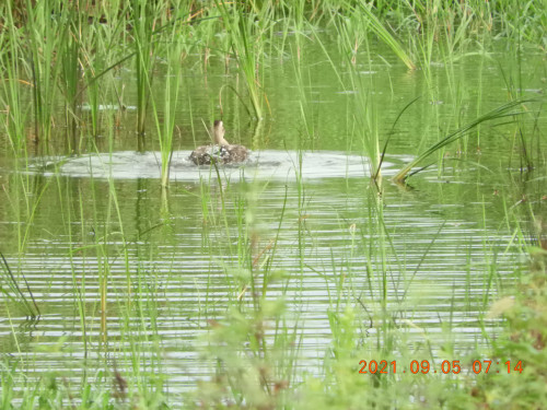 DSCN9534.JPG