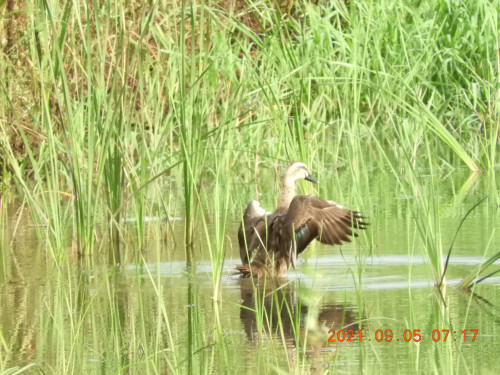 DSCN9541.JPG