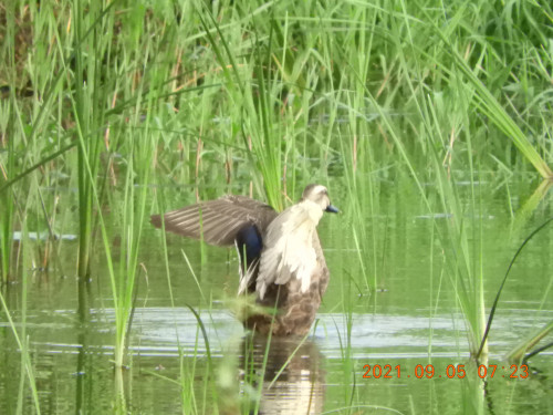 DSCN9554.JPG