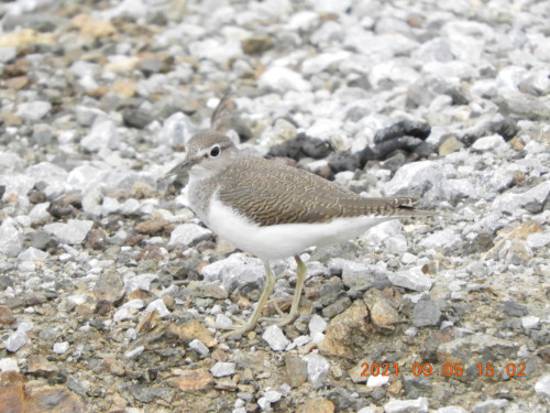 DSCN9575.JPG