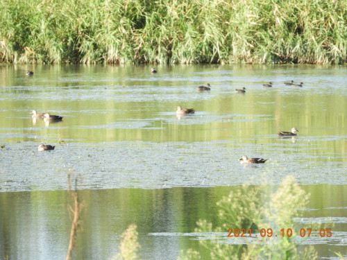 DSCN9597.JPG