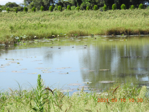 DSCN9630.JPG