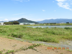 DSCN9623.JPG