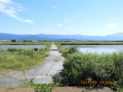 DSCN9624.JPG