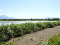 DSCN9625.JPG