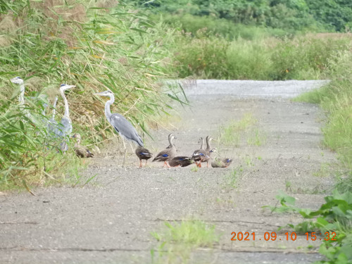 DSCN9646.JPG
