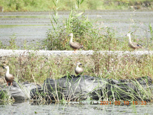 DSCN9649.JPG