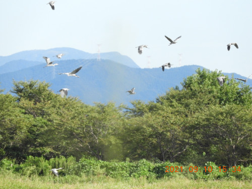 DSCN9652.JPG