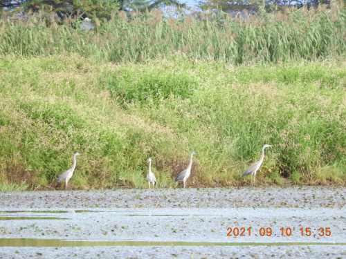 DSCN9662.JPG