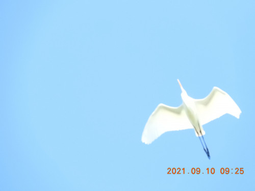 DSCN9618.JPG