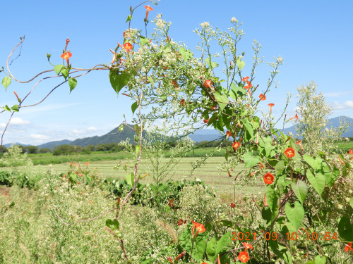 DSCN9634.JPG