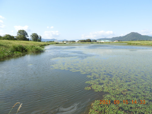 DSCN9724.JPG