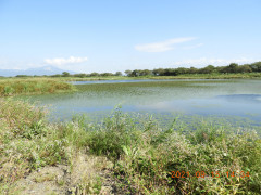 DSCN9726.JPG