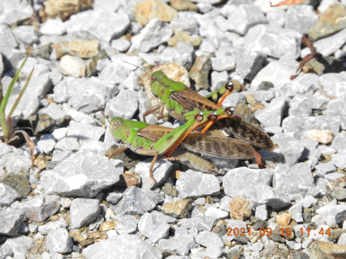 DSCN9714.JPG