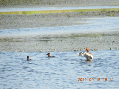 DSCN9739.JPG