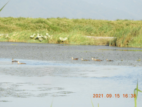DSCN9737.JPG