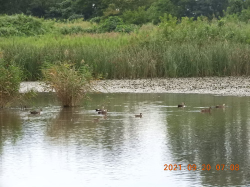 DSCN9751.JPG