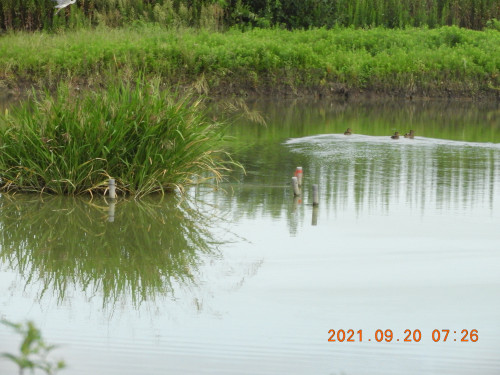 DSCN9760.JPG