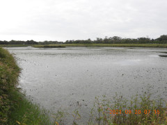 DSCN9753.JPG