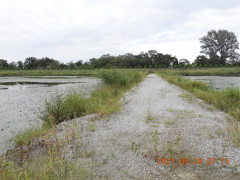 DSCN9754.JPG
