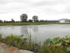 DSCN9755.JPG