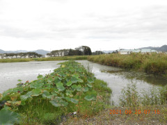 DSCN9756.JPG