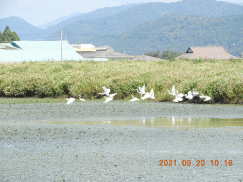 DSCN9767.JPG
