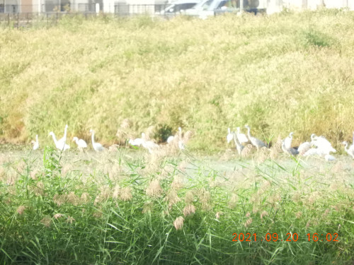 DSCN9817.JPG