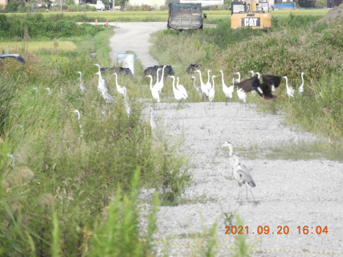 DSCN9818.JPG