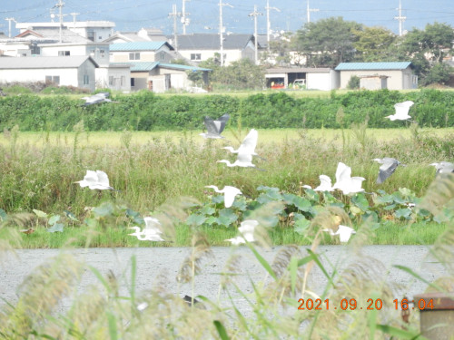 DSCN9820.JPG