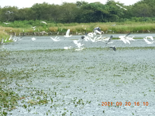 DSCN9830.JPG