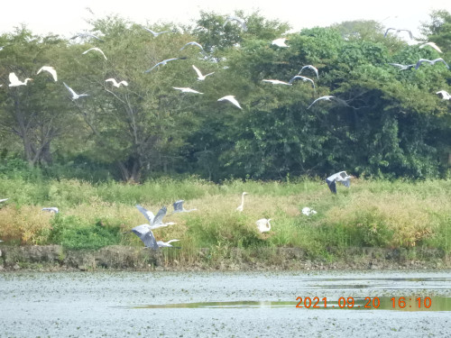 DSCN9836.JPG