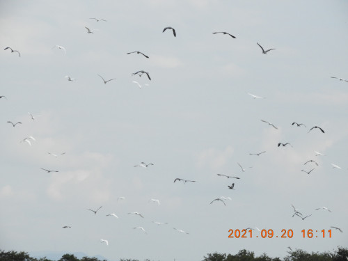 DSCN9838.JPG