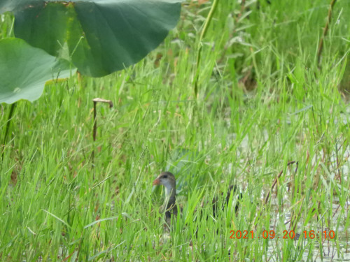 DSCN9828.JPG