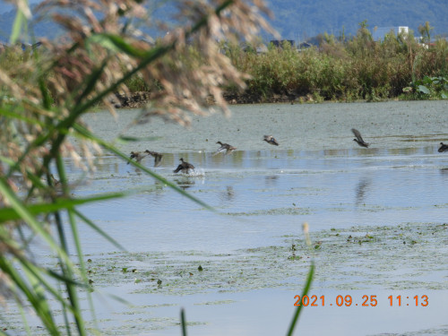 DSCN9852.JPG