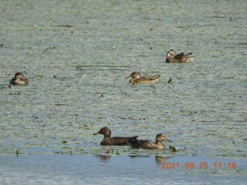 DSCN9856.JPG