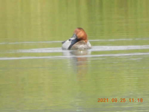 DSCN9863.JPG