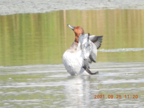 DSCN9870.JPG