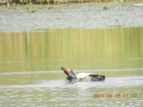 DSCN9871.JPG