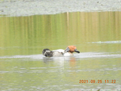 DSCN9875.JPG