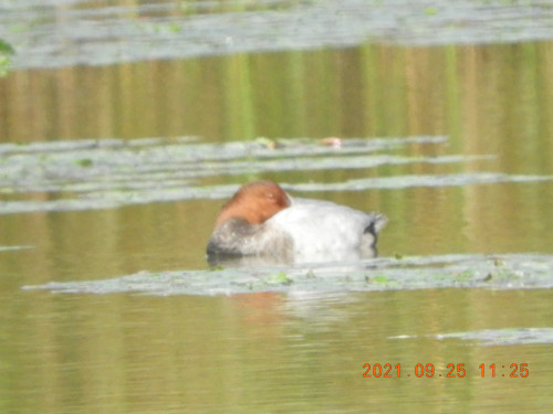DSCN9885.JPG