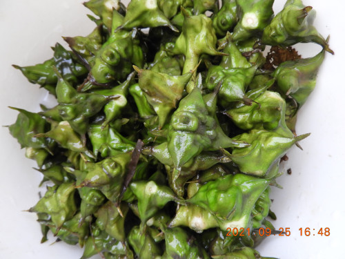 DSCN9896.JPG