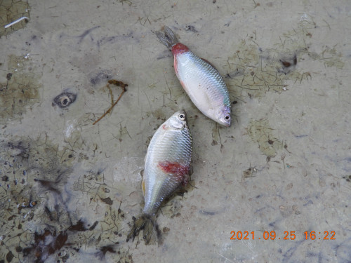 DSCN9895.JPG