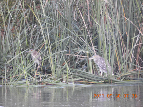 DSCN9968.JPG