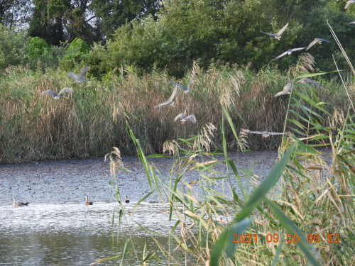 DSCN9898.JPG