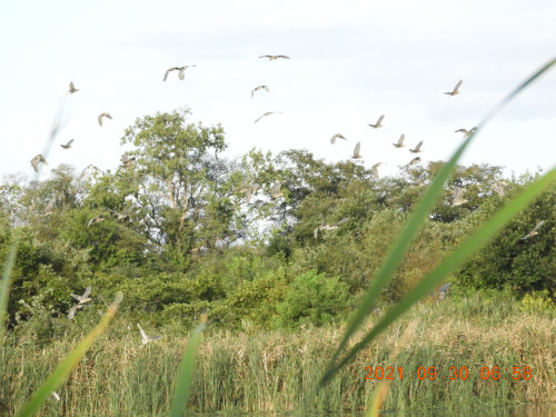 DSCN9918.JPG