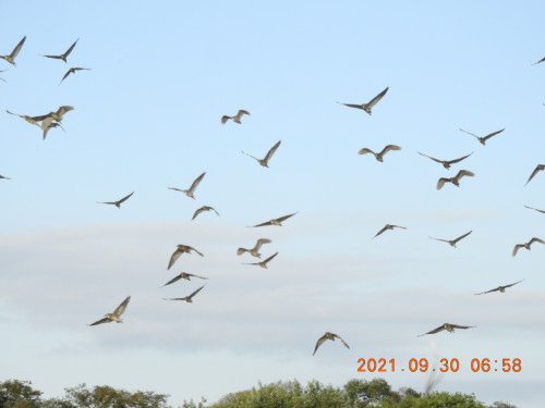 DSCN9919.JPG