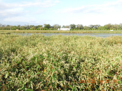 DSCN9954.JPG
